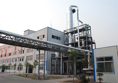 Cellulose Production Line