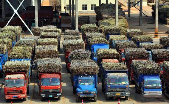 Sugarcane And Sucrose Processing Plant，Jiangxi, China