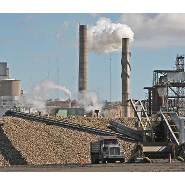 Complete Sets of Equipment for Sugar Beet Processing