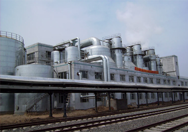 Annual Output 150,000 Tons DDGS Evaporation System (Changchun Jiliang China)