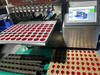 Candy Production Line Equipment