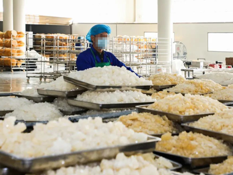 Guangxi Rock Sugar Processing Factory, China