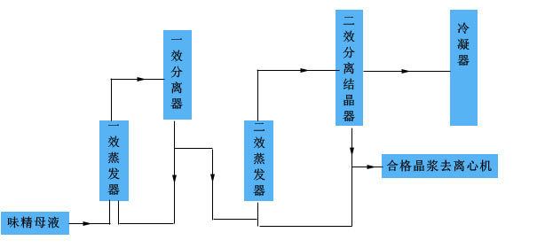 Monosodium Glutamate Continuous Crystallization Technology